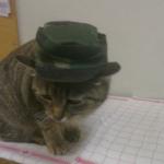 chat chapeau