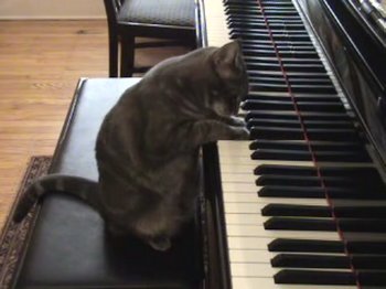 Chat piano