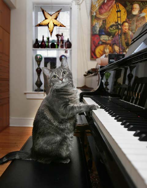 Piano chat
